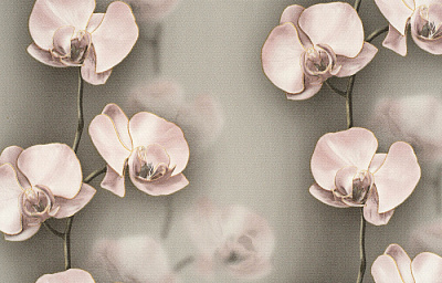 Брянские Обои Грация гфр 3 С6БР-ГП